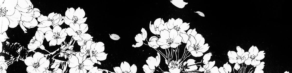 AkVa's banner